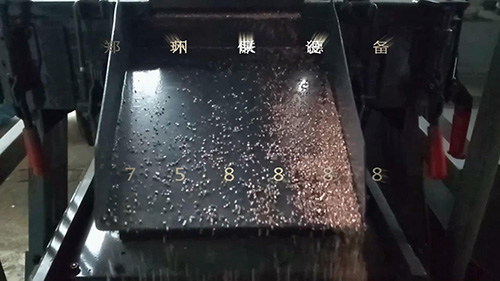 LD600銅米機客戶現場